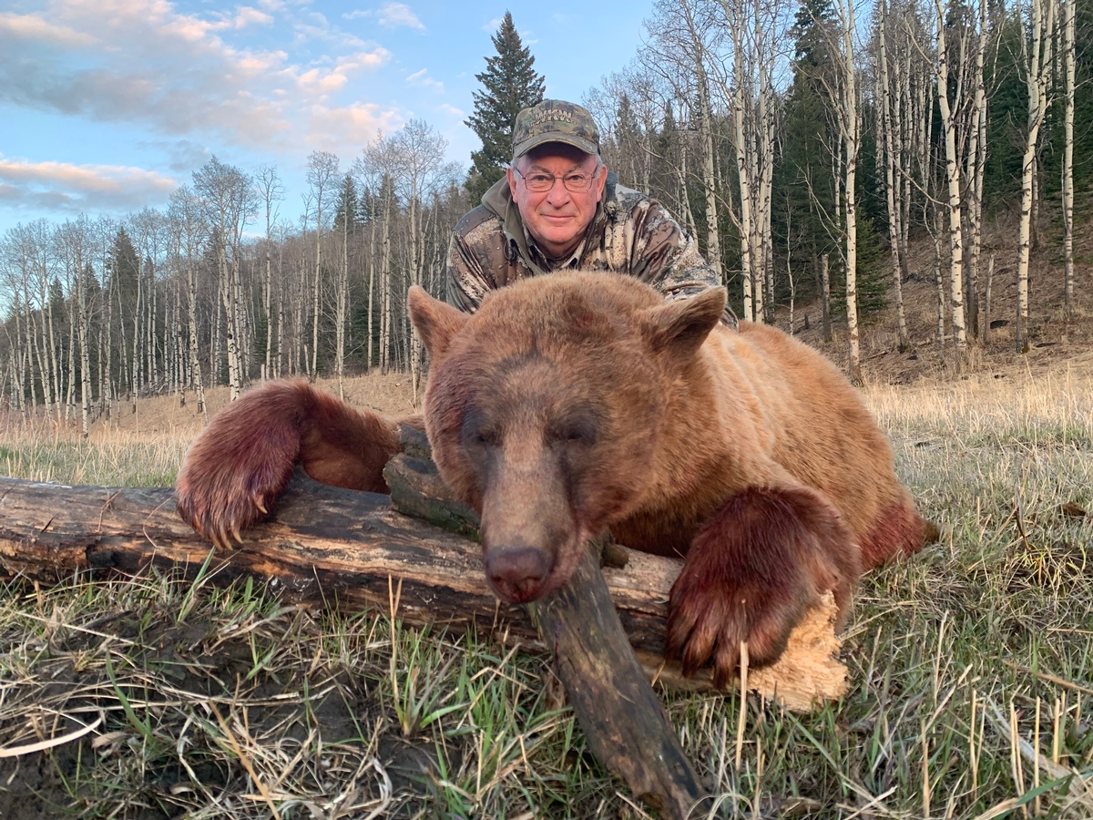 Alberta Canada Black Bear Hunting - Willow Creek Outfitters