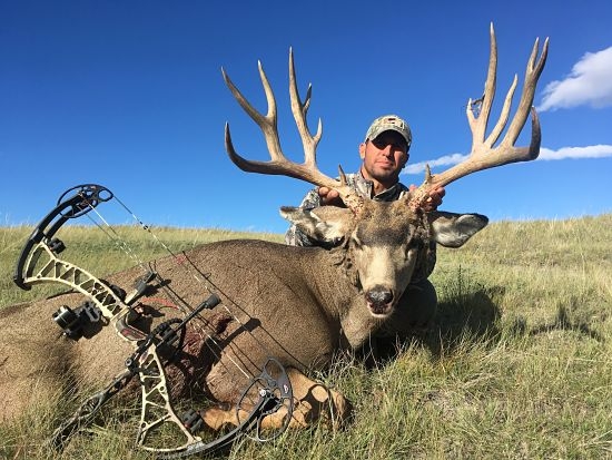 Alberta Canada Mule Deer Bowhunting - Willow Creek Outfitters