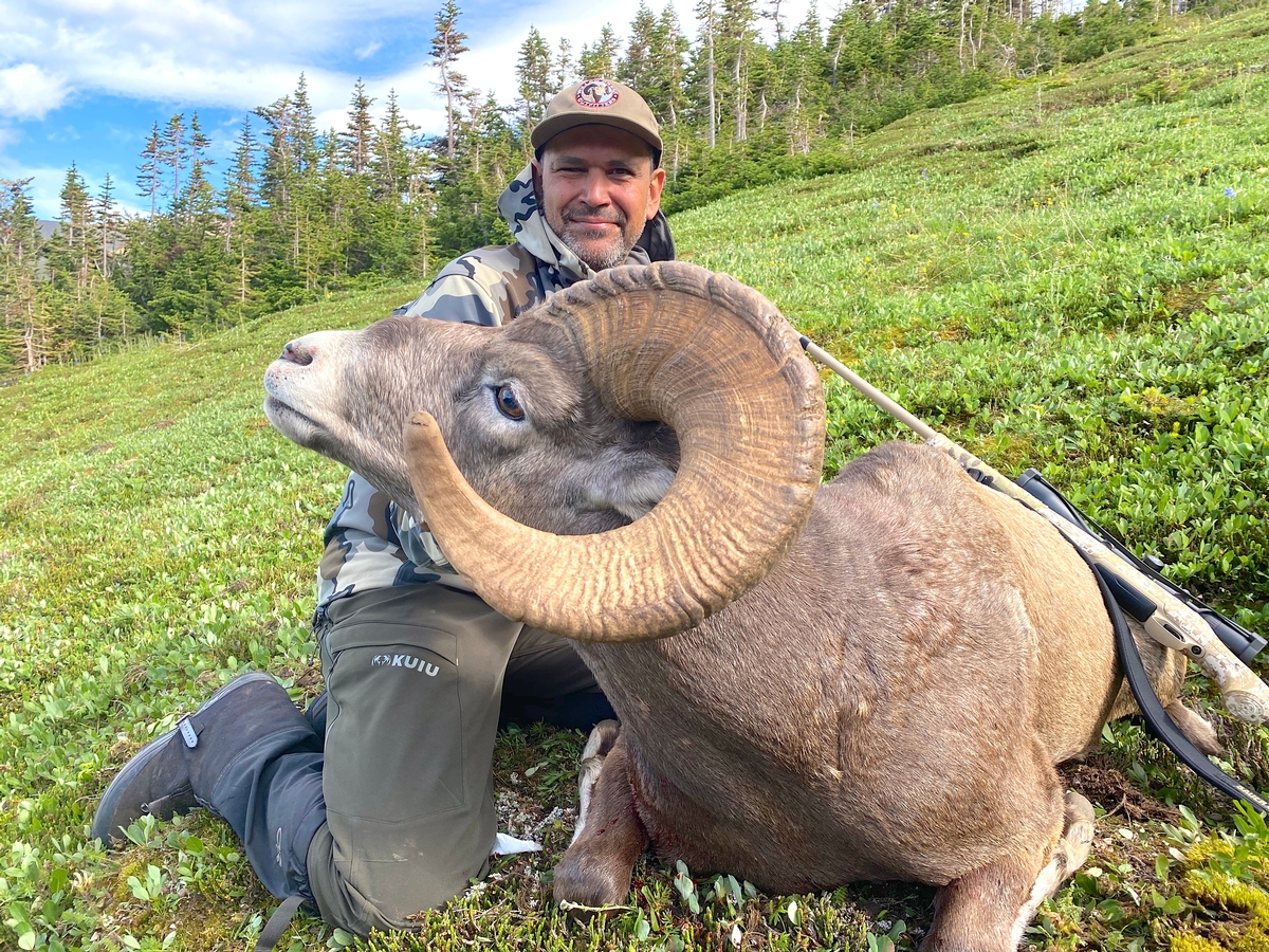 Rocky Mountain Bighorn Sheep Hunts Alberta Hunt Trophy Rams in Canada.