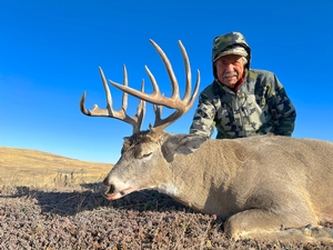 Whitetail Deer Hunting